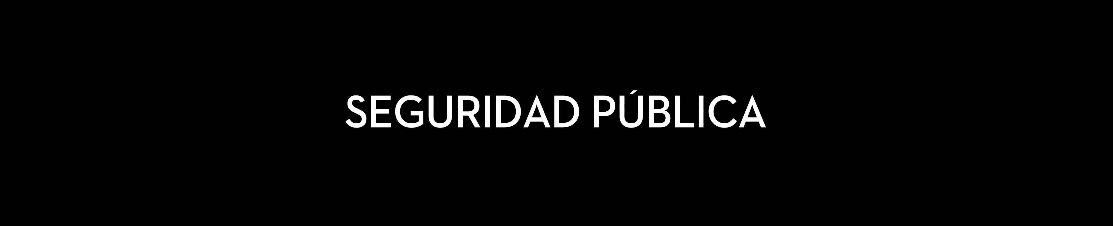 Seguridad pública