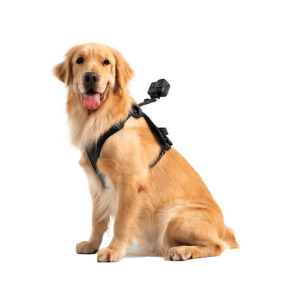 Montura de Arnés para Mascotas (L) | Insta360 - Fpv Pro Robotics