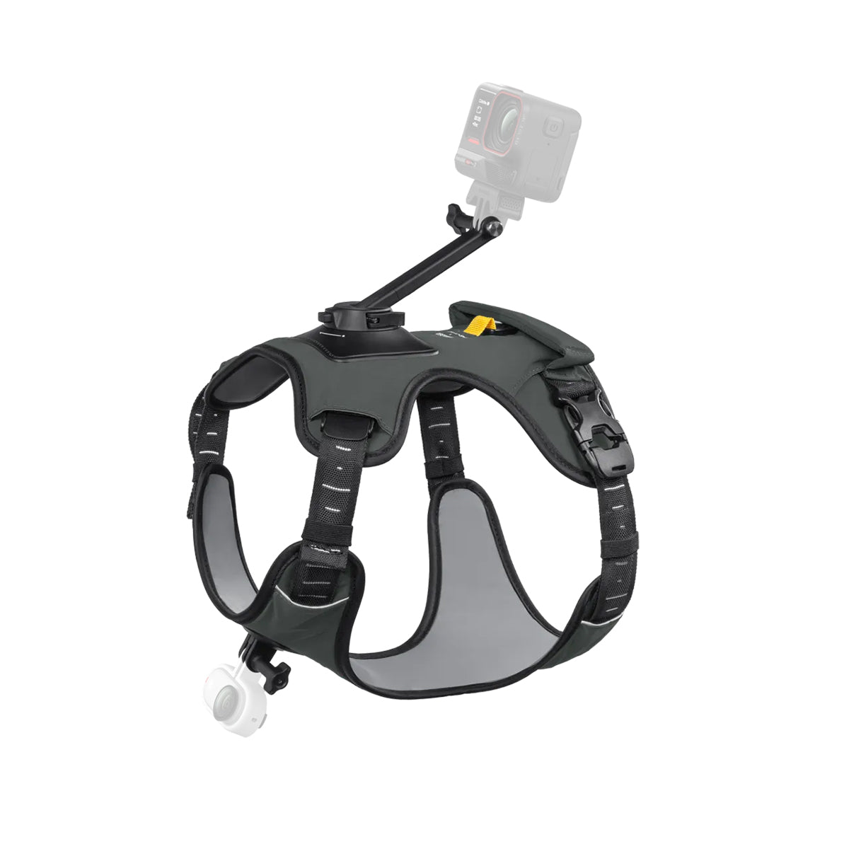 Montura de Arnés para Mascotas | Insta360