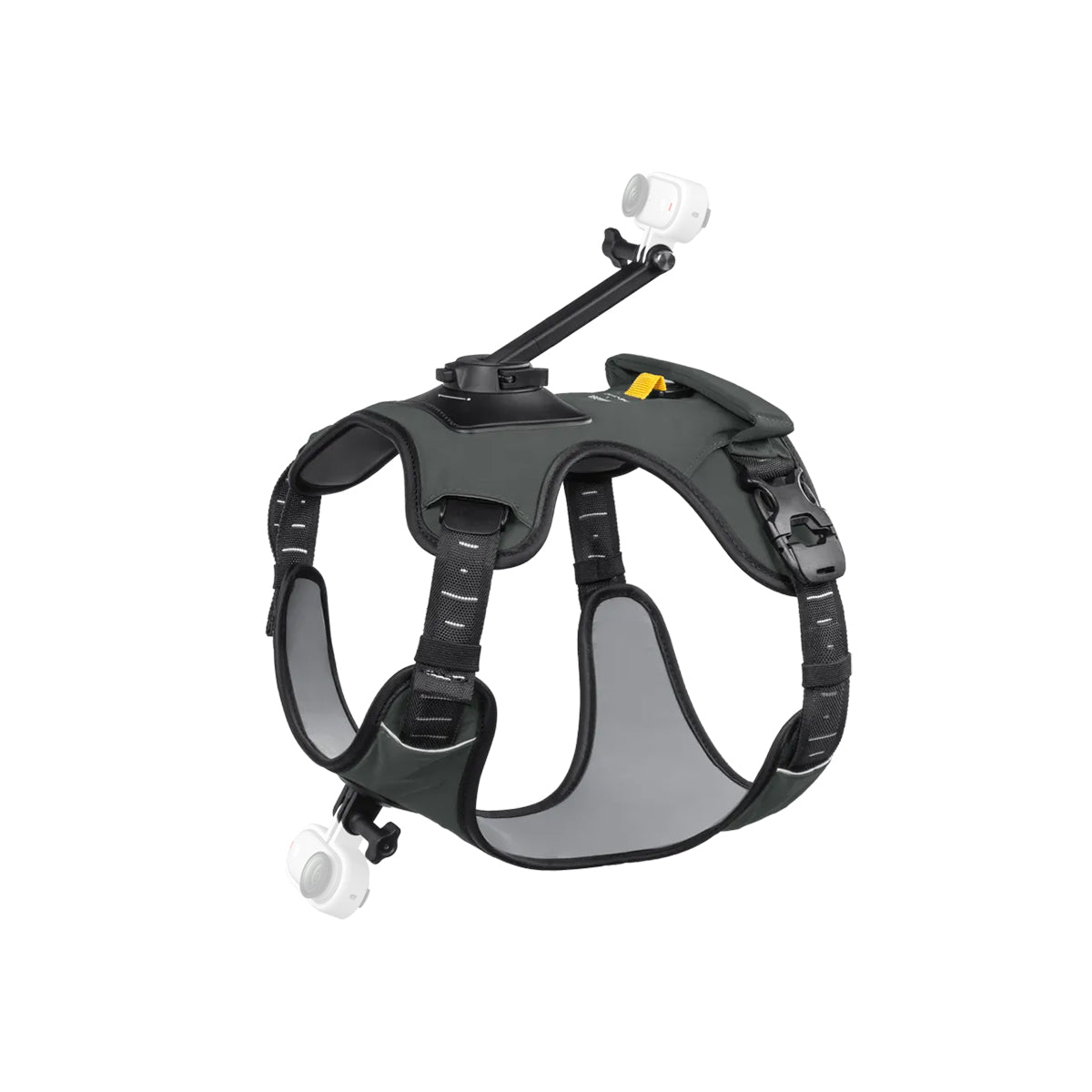 Montura de Arnés para Mascotas | Insta360
