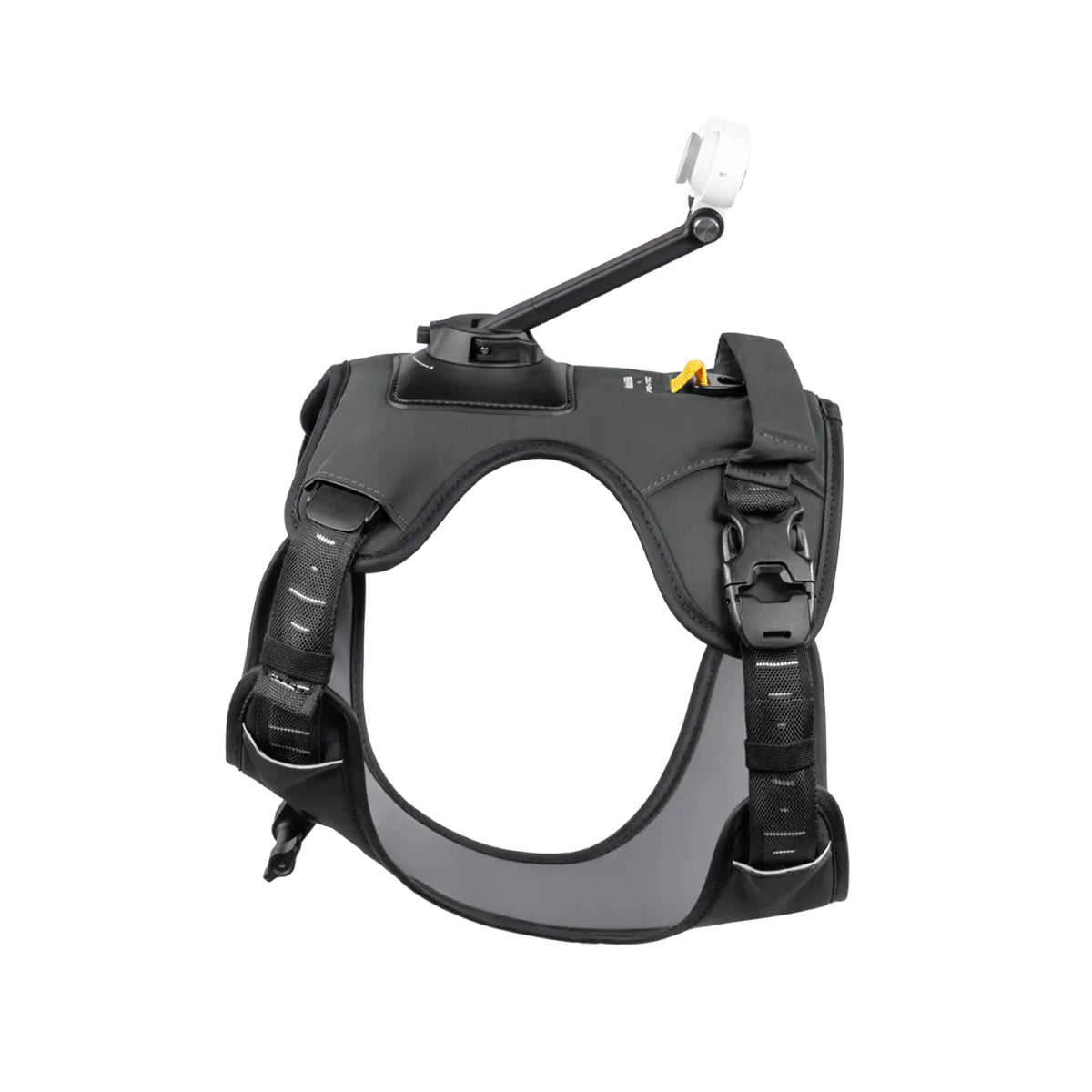 Montura de Arnés para Mascotas | Insta360