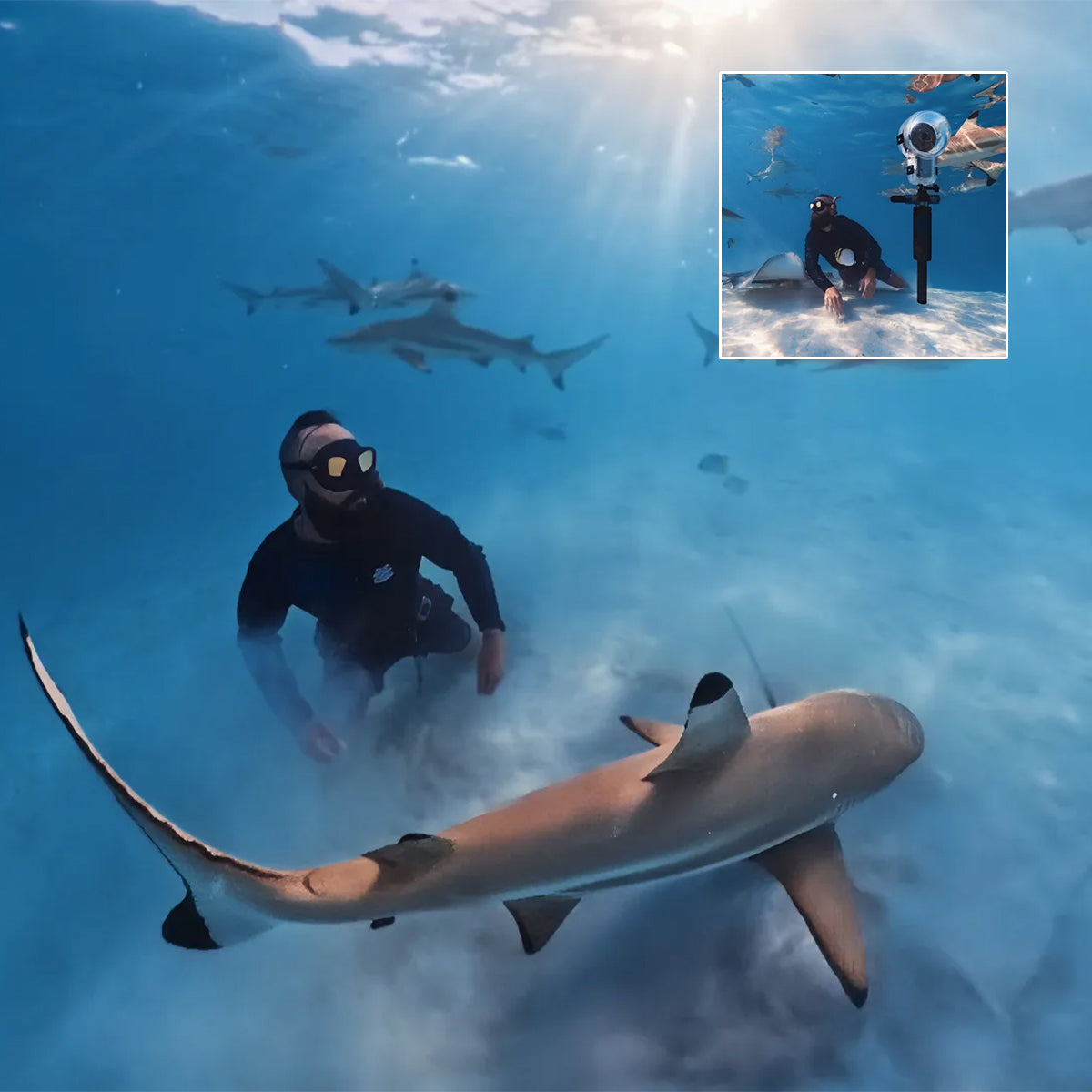 Dive Buddy | Insta360