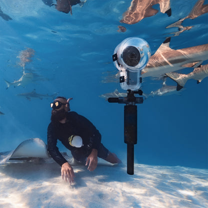 Dive Buddy | Insta360