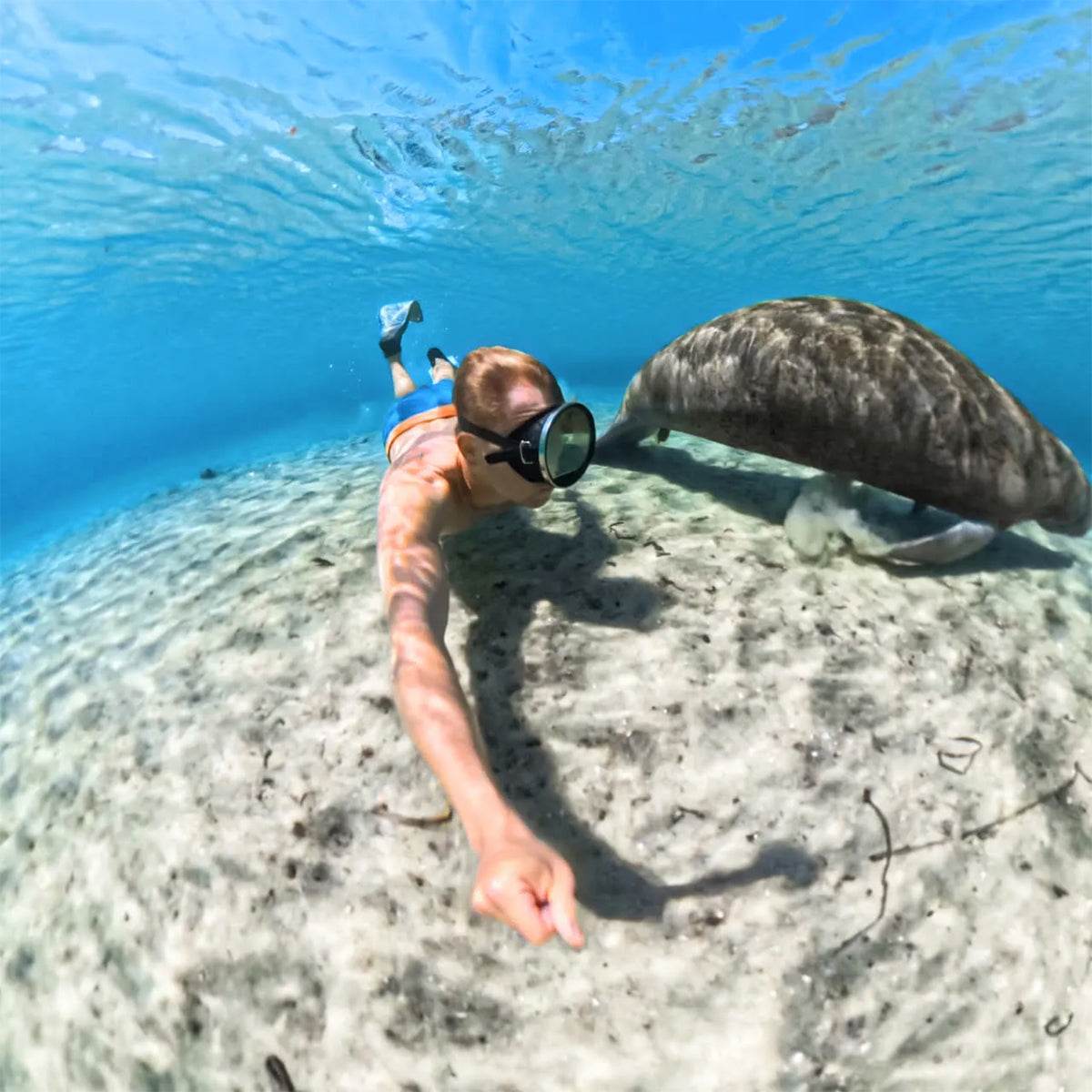 Carcasa Protectora De Buceo Invisible | Cámara Insta360 X5.