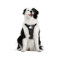 Montura de Arnés para Mascotas | Insta360