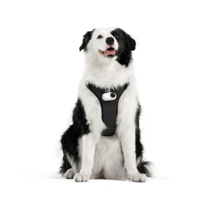 Montura de Arnés para Mascotas (L) | Insta360 - Fpv Pro Robotics