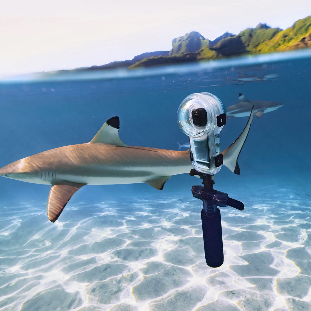 Dive Buddy | Insta360