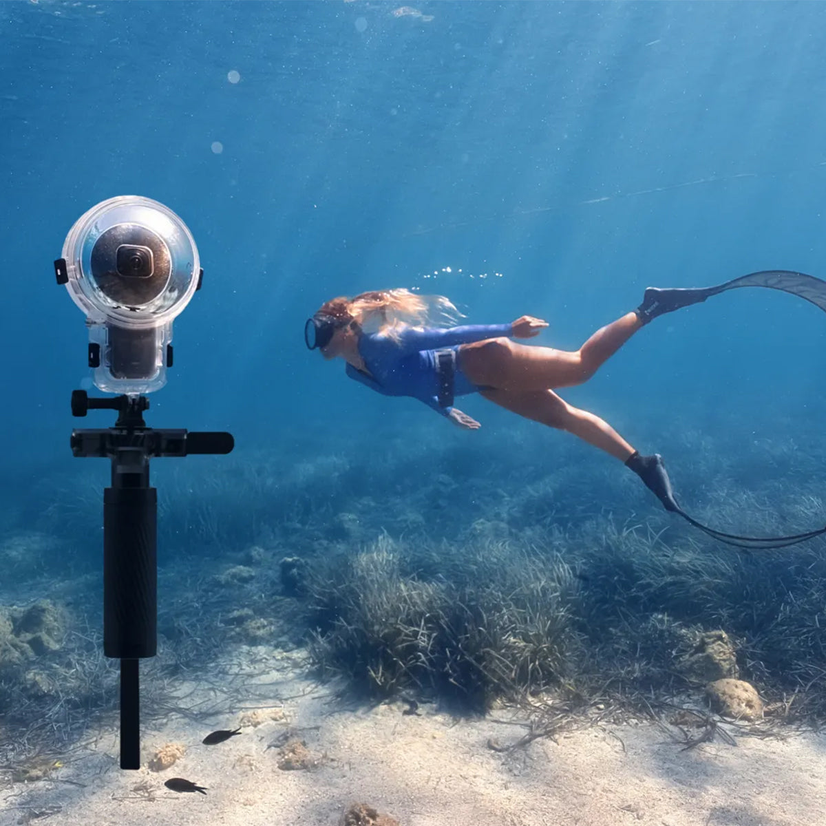 Dive Buddy | Insta360